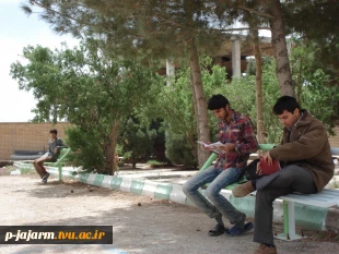 نمایی از  فضای سبز مرکز