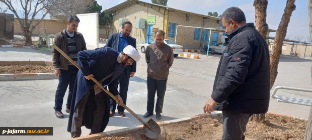به مناسبت روز درخت کاری و هفته منابع طبیعی انجام شد: کاشت چندین اصله نهالِ مثمر در دانشکده فنی و حرفه ای جاجرم . 2