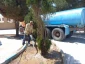 آبیاری فضای سبز دانشکده در تعامل با اداره محترم آبفا بصورت رایگان