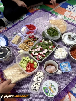 برگزاری برنامه صبحانه سالم در محل پارک مجتهد جاجرمی (چهارشنبه 24 اردیبهشت 1404) 6