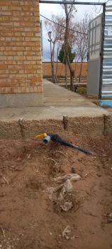  انجام عملیات تکمیلی بهینه سازی لوله کشی فضای سبز آموزشکده ملی مهارت جاجرم 6