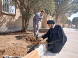  انجام درختکاری به مناسبت هفته درختکاری و به یاد امام شهید عزیزمان 