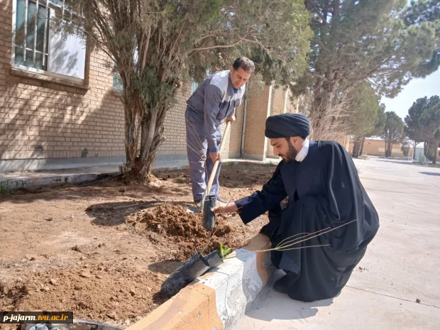  انجام درختکاری به مناسبت هفته درختکاری و به یاد امام شهید عزیزمان  2