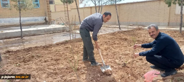  انجام درختکاری به مناسبت هفته درختکاری و به یاد امام شهید عزیزمان  3