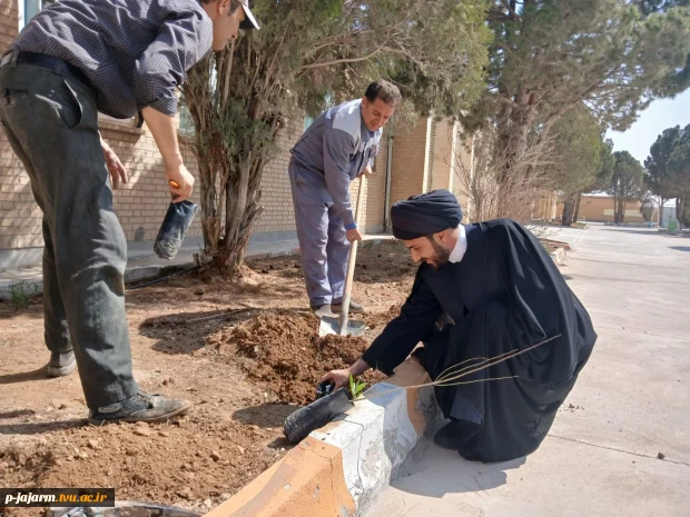  انجام درختکاری به مناسبت هفته درختکاری و به یاد امام شهید عزیزمان  11