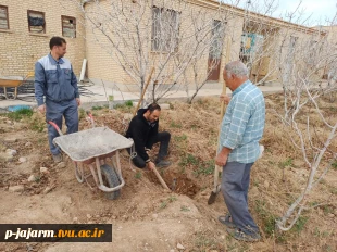  انجام عملیات بهینه سازی محیط باغ پسته با کاشت فضای سبز به منظور  افزایش بهره وری از اراضی مازاد باغ  2