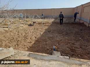  انجام عملیات بهینه سازی محیط باغ پسته با کاشت فضای سبز به منظور  افزایش بهره وری از اراضی مازاد باغ  3