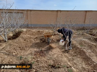  انجام عملیات بهینه سازی محیط باغ پسته با کاشت فضای سبز به منظور  افزایش بهره وری از اراضی مازاد باغ  4