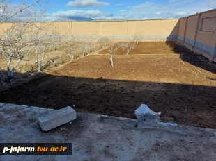 انجام عملیات بهینه سازی محیط باغ پسته با کاشت فضای سبز به منظور  افزایش بهره وری از اراضی مازاد باغ  5