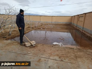  انجام عملیات بهینه سازی محیط باغ پسته با کاشت فضای سبز به منظور  افزایش بهره وری از اراضی مازاد باغ  6