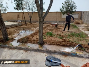  انجام عملیات بهینه سازی محیط باغ پسته با کاشت فضای سبز به منظور  افزایش بهره وری از اراضی مازاد باغ  10