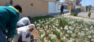 انجام عملیات بهسازی فضای سبز و مبلمانِ ورودی دانشگاه ملی مهارت مرکز جاجرم  3