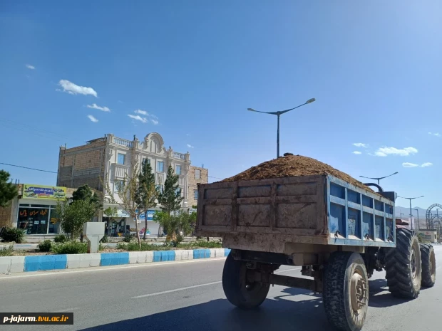 ادامه عملیات بهسازی فضای سبز دانشگاه ملی مهارت مرکز جاجرم 12