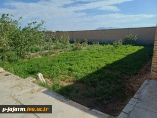 انجام عملیات بهسازی فضای سبز و مبلمانِ ورودی دانشگاه ملی مهارت مرکز جاجرم  13