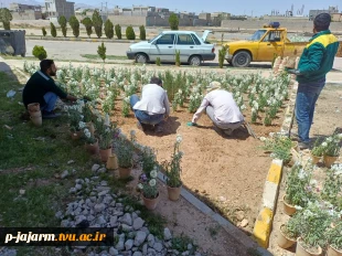 انجام عملیات بهسازی فضای سبز و مبلمانِ ورودی دانشگاه ملی مهارت مرکز جاجرم  14