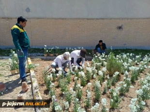 انجام عملیات بهسازی فضای سبز و مبلمانِ ورودی دانشگاه ملی مهارت مرکز جاجرم  15